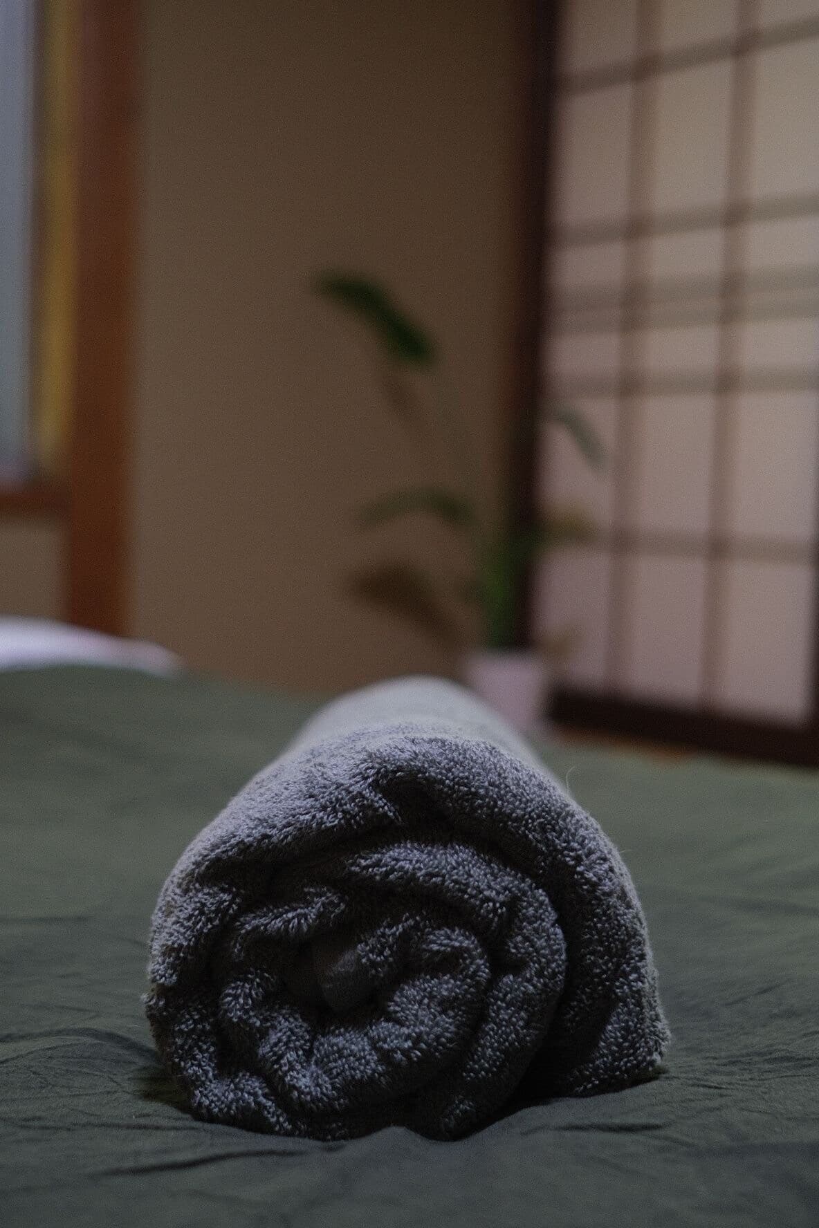 Lodge Sunshine, Myoko, Izuna- triple room - View 5